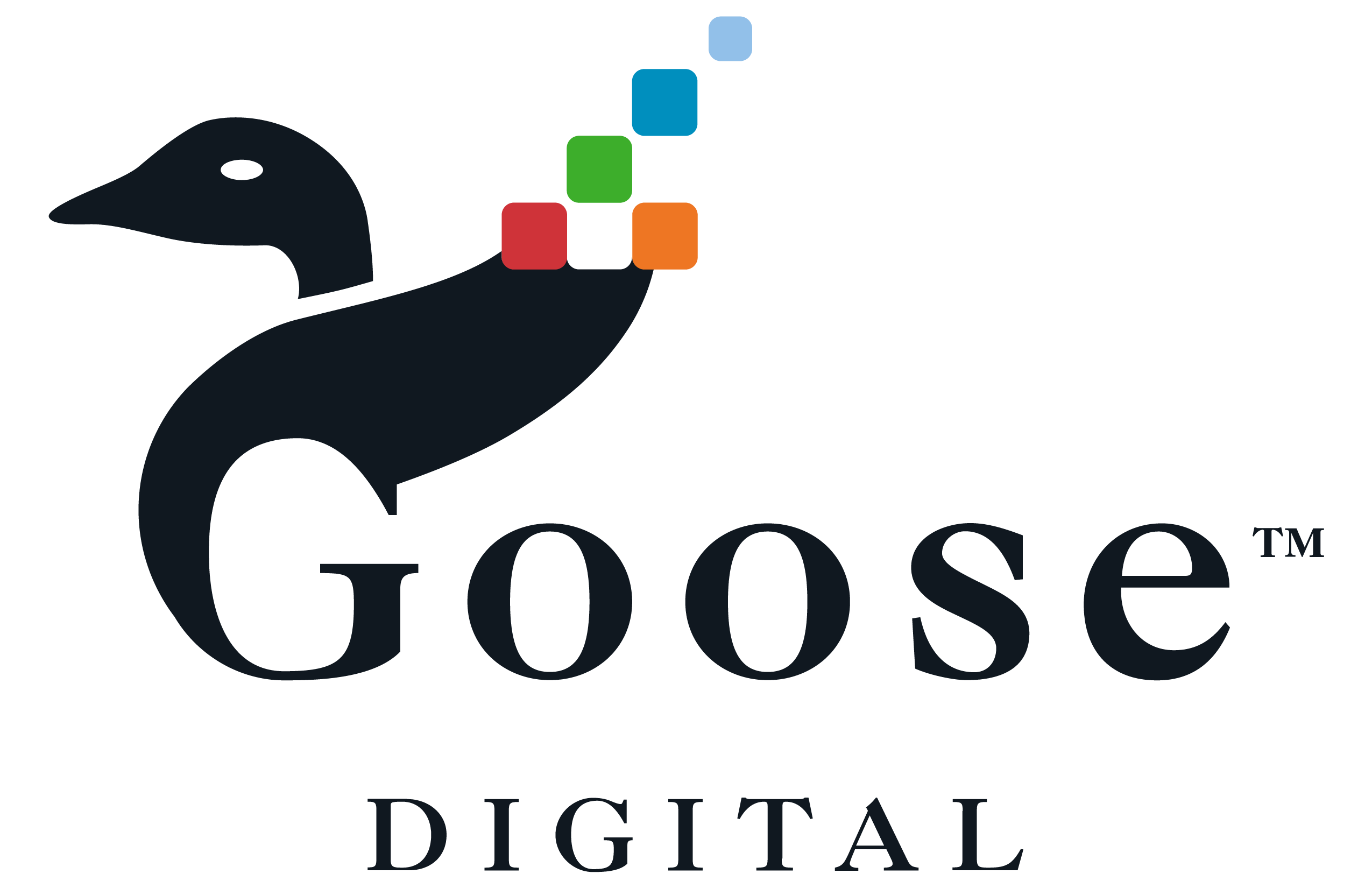 Goose Digital